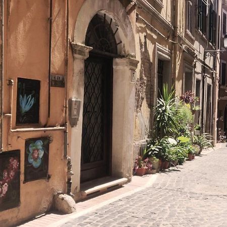 蒙泰罗通多Affitto Turistico - La Terrazzina公寓 外观 照片