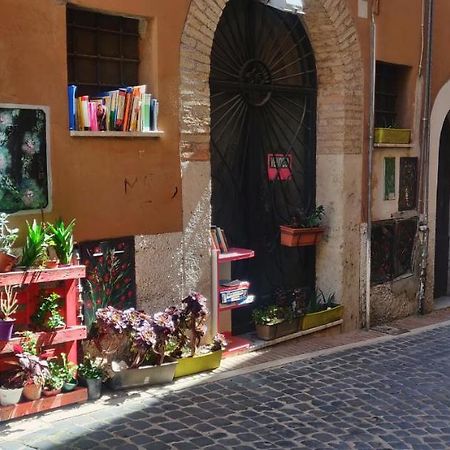 蒙泰罗通多Affitto Turistico - La Terrazzina公寓 外观 照片