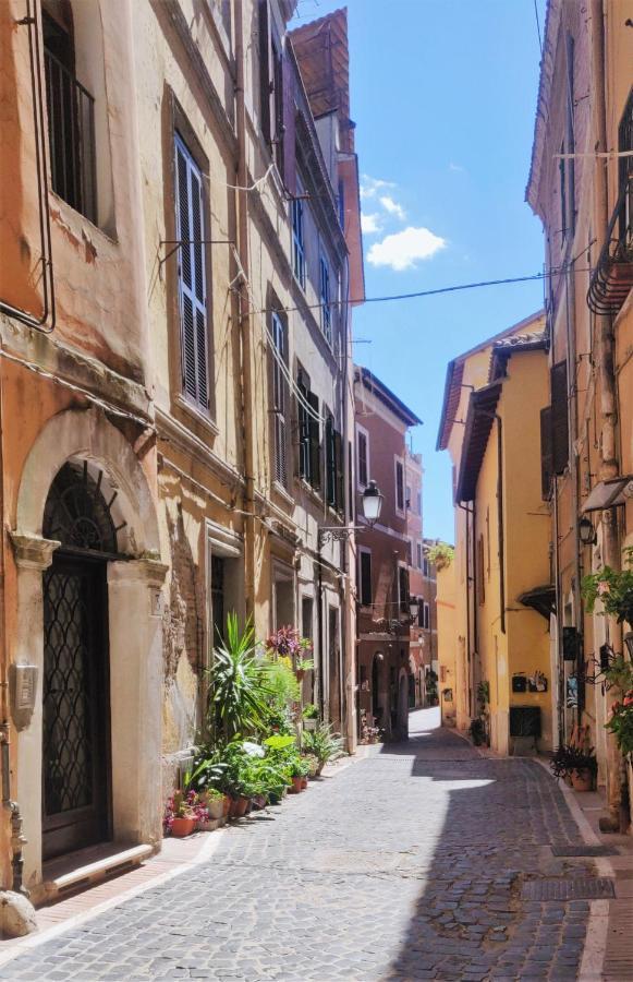 蒙泰罗通多Affitto Turistico - La Terrazzina公寓 外观 照片