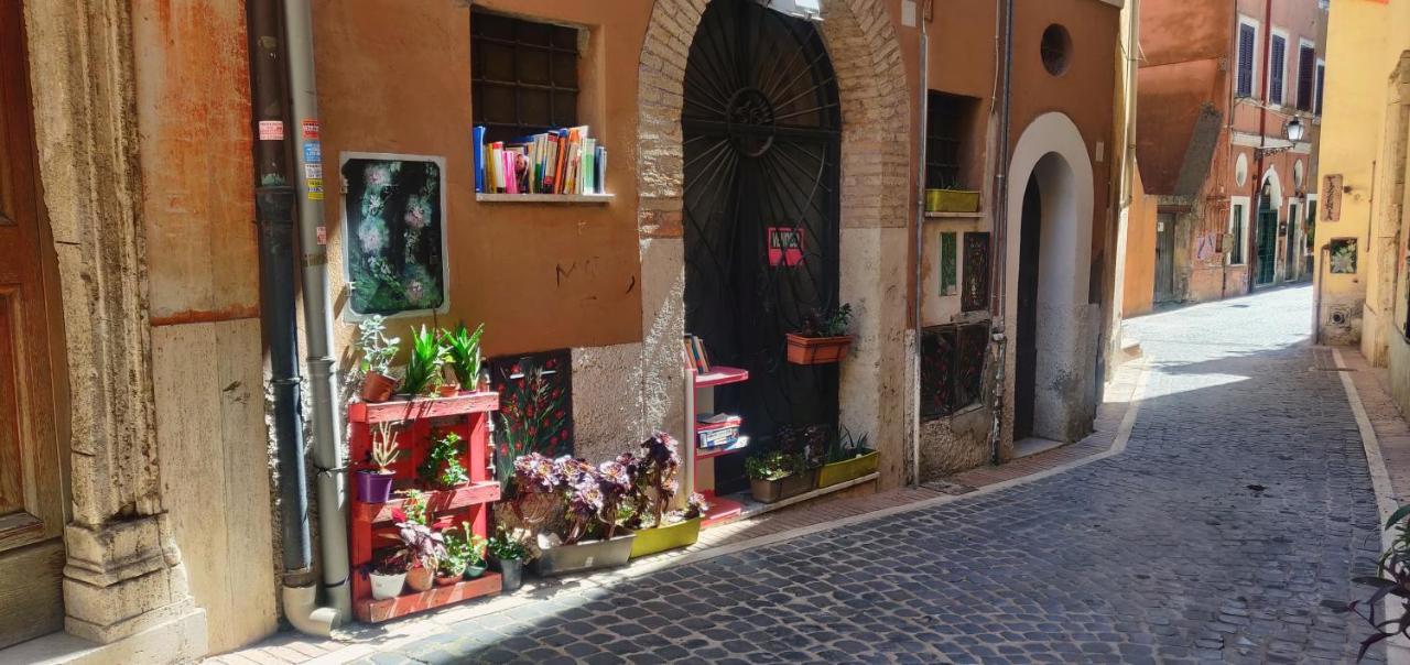 蒙泰罗通多Affitto Turistico - La Terrazzina公寓 外观 照片